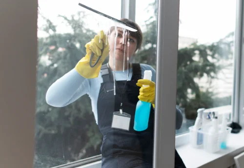 Nettoyage de vitres intérieures et extérieures à Lerné